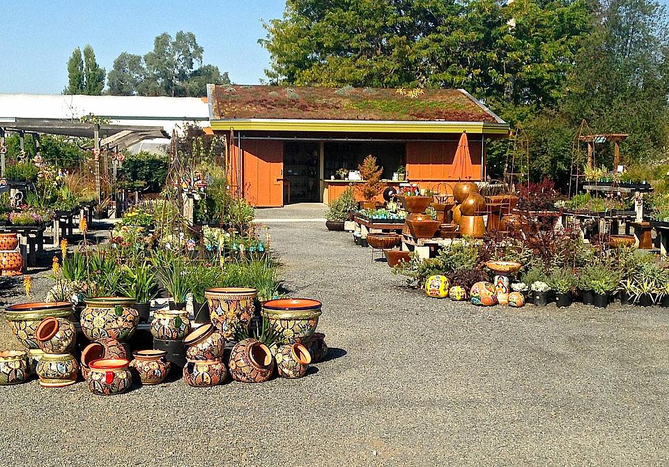 the nursery at emerisa gardens retail nursery